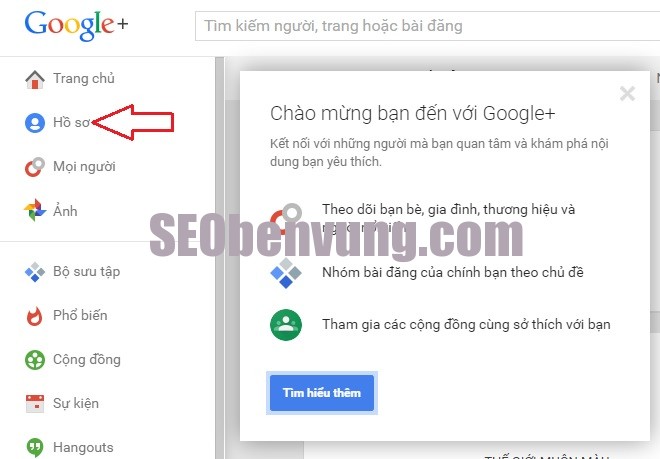 back link cực kỳ chất lượng